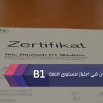 أكثر من 8% من سكان ألمانيا ليسوا ألمانيين الأصل