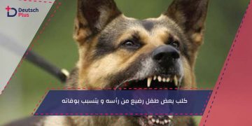 كلب يعض طفل رضيع من رأسه و يتسبب بوفاته