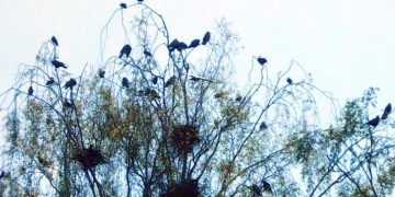Screenshot_23