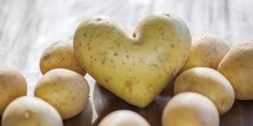 kartoffelherz_980_rdax_720x316_80