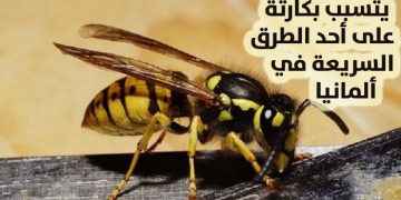 دبور