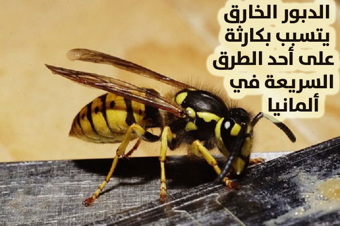 دبور