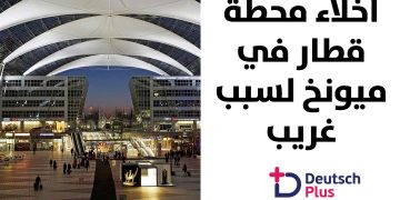 قالب-نصف-أبيض