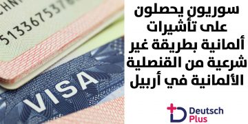 قالب-نصف-أبيض