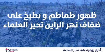 الطبقة-الزرقاء