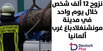 قالب-نصف-أبيض