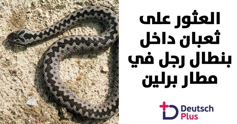 قالب-نصف-أبيض